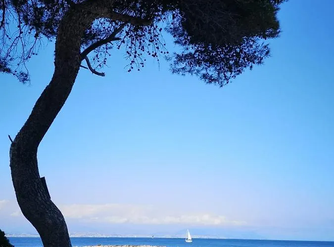 Апартаменты 5 Min To Sea Francaise Old Town *