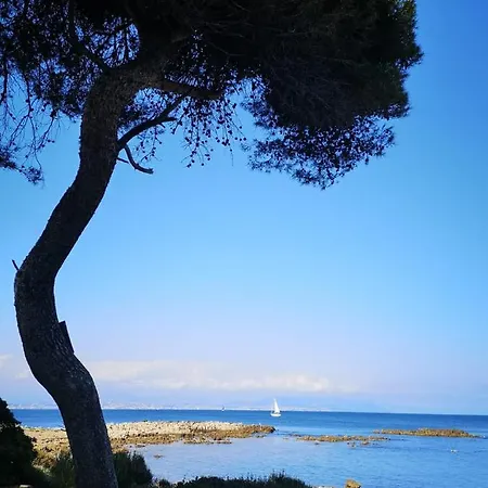 Апартаменты 5 Min To Sea Francaise Old Town *