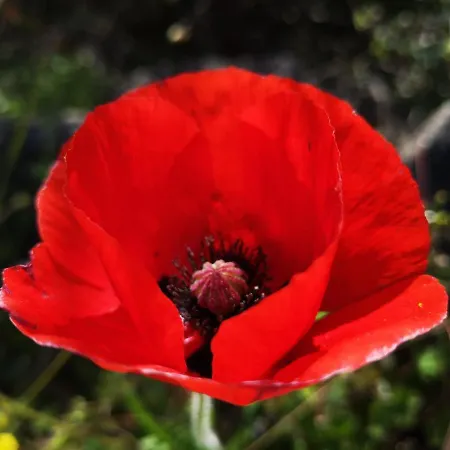 5 Min To Sea Francaise Old Town Apartament