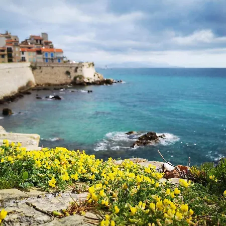 Апартаменты 5 Min To Sea Francaise Old Town *